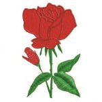 Free rose embroidery design